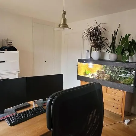 Apartment 3 Zimmer Wohnung, Sehr Zentral *