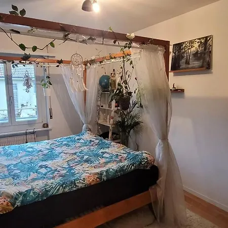 3 Zimmer Wohnung, Sehr Zentral Apartment *